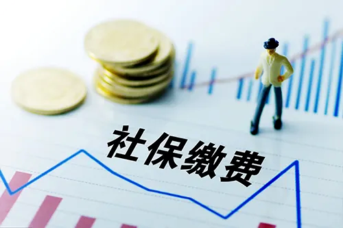 社保公积金代缴服务